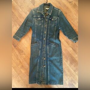 . This is vintage dress or long women coat very fashion